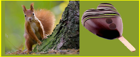 ESQUIMAUX AU NOISETTES