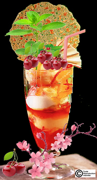 sorbet cerise et sel